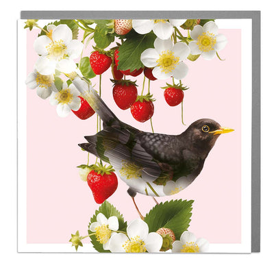 Blackbird and Strawberries Blank Art Card by Lola Design - Lola Design Ltd