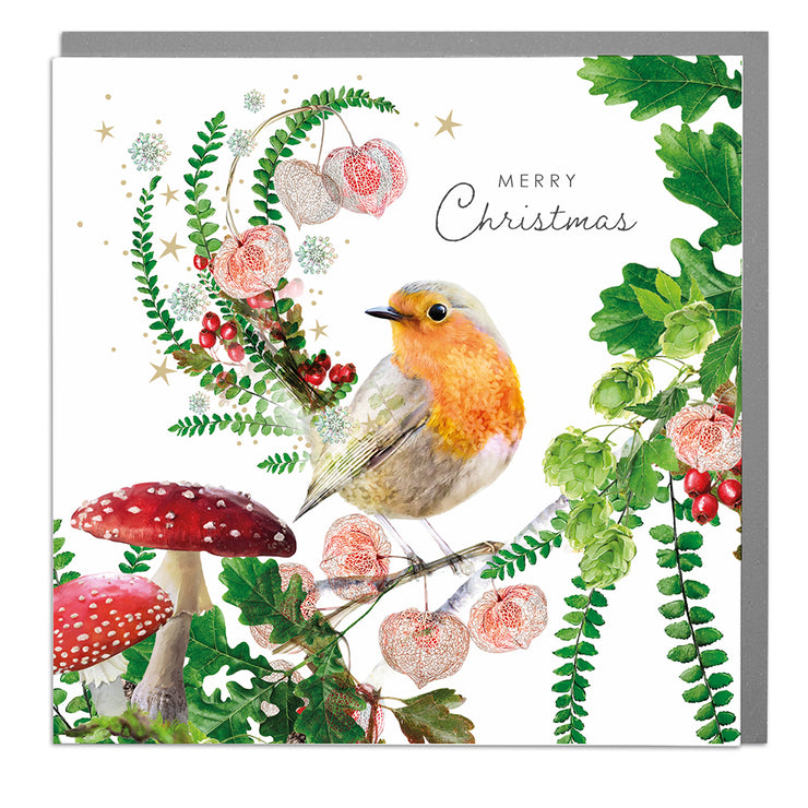Robin Happy Christmas card pack of 6 cards - Lola Design Ltd