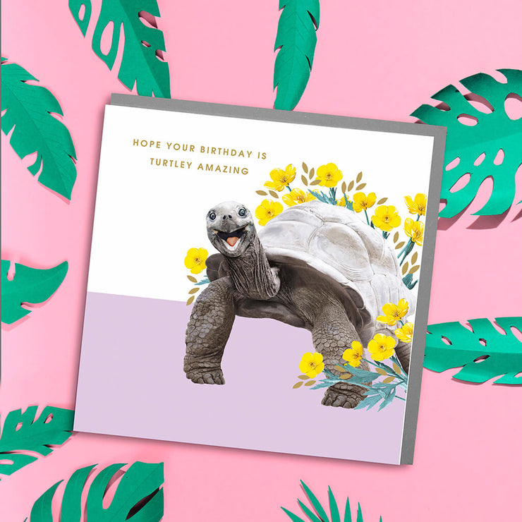 Giant Turtle Birthday Card - Lola Design Ltd
