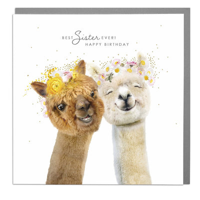 Alpacas Best Sister Ever Birthday Card by Lola Design - Lola Design Ltd