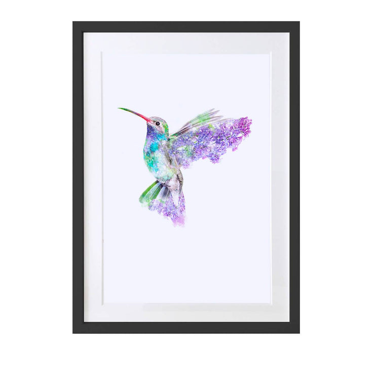Hummingbird Art Print - Lola Design Ltd