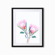 King Protea Botanique (Single Flower) Art Print - Lola Design Ltd