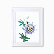 Passion Flower Botanique (Single Flower) Art Print - Lola Design Ltd