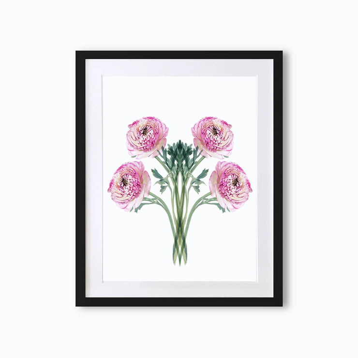 Ranunculus (Pattern) Art Print - Lola Design Ltd