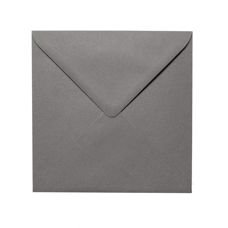 Tortoise Blank Art Card by Lola Design - Lola Design Ltd
