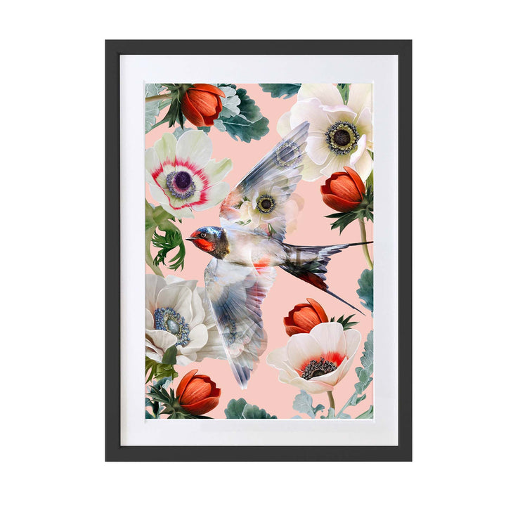 Full Bloom Swallow Bird Art Print - Lola Design Ltd