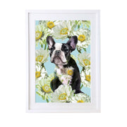 Full Bloom French bulldog Art Print - Lola Design Ltd