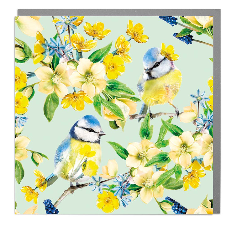 Pack of Six Blank Blue Tit Pattern Notecards - Lola Design Ltd