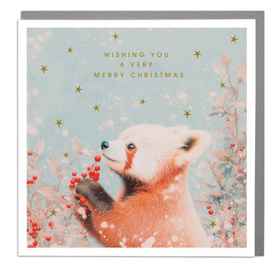 Red Panda - Merry Christmas Card by Lola Design - Lola Design Ltd