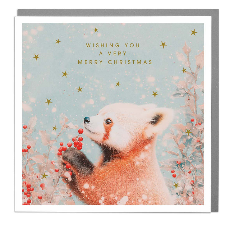 Red Panda - Merry Christmas Card by Lola Design - Lola Design Ltd