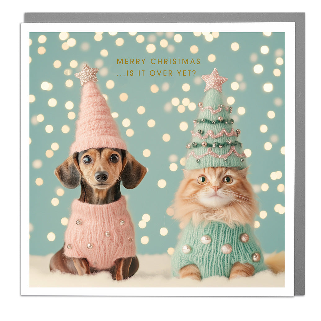 Cat and Dog - Merry Christmas Card by Lola Design | Lola Design Ltd