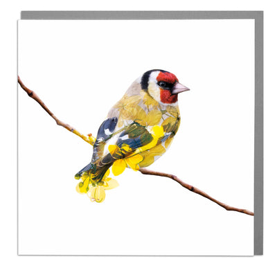 Gold Finch Card by Lola Design - Lola Design Ltd