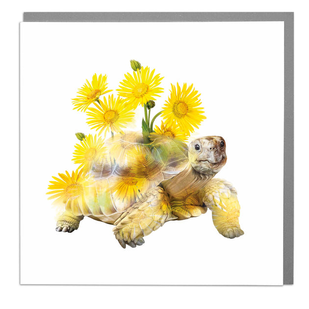 Tortoise Blank Art Card by Lola Design | Lola Design Ltd