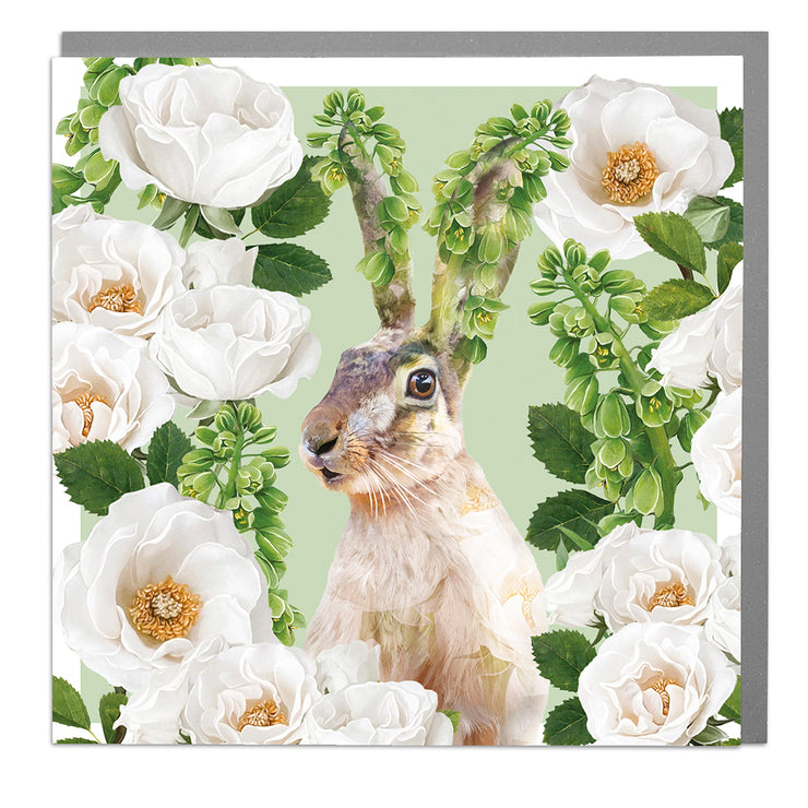 Hare with White Garden Roses Card by Lola Design - Lola Design Ltd
