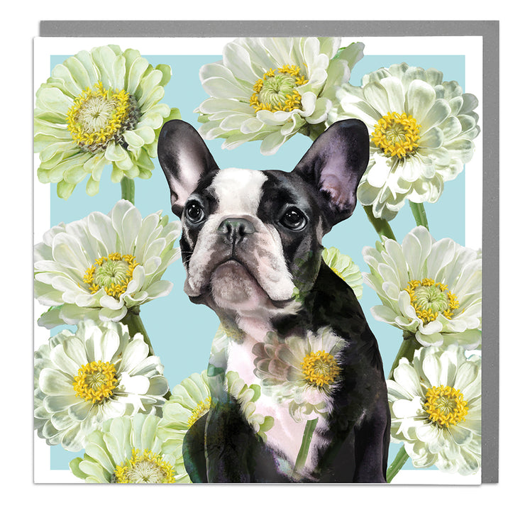 French Bulldog with White Daisies Card by Lola Design - Lola Design Ltd