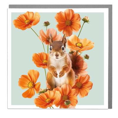 Red Squirrel and Cosmos Blank Art Card by Lola Design - Lola Design Ltd