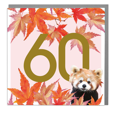 Age 60 - Red Panda Greeting Card by Lola Design - Lola Design Ltd