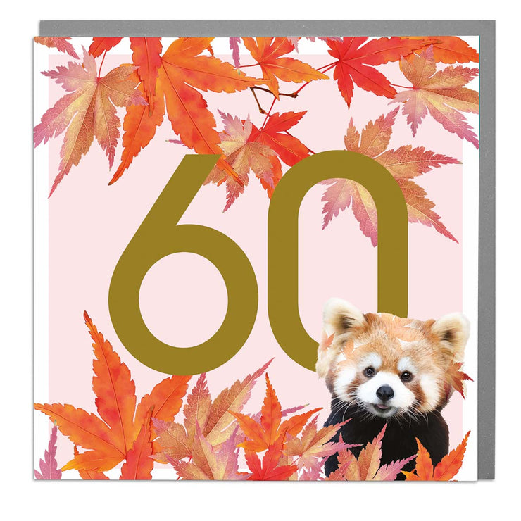 Age 60 - Red Panda Greeting Card by Lola Design