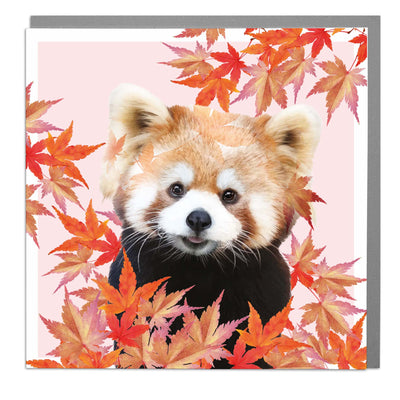 Red Panda Blank Art Card by Lola Design - Lola Design Ltd