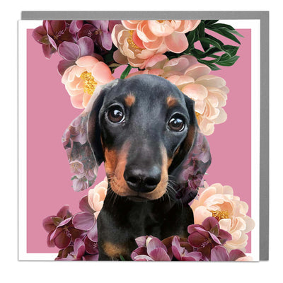 Sausage Dog Blank Art Card by Lola Design - Lola Design Ltd