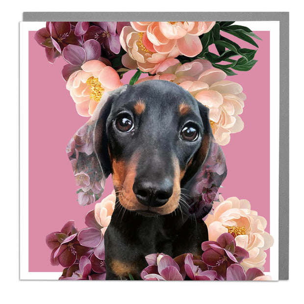 Sausage Dog Blank Art Card by Lola Design - Lola Design Ltd