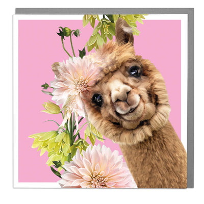 Alpaca Blank Art Card by Lola Design - Lola Design Ltd