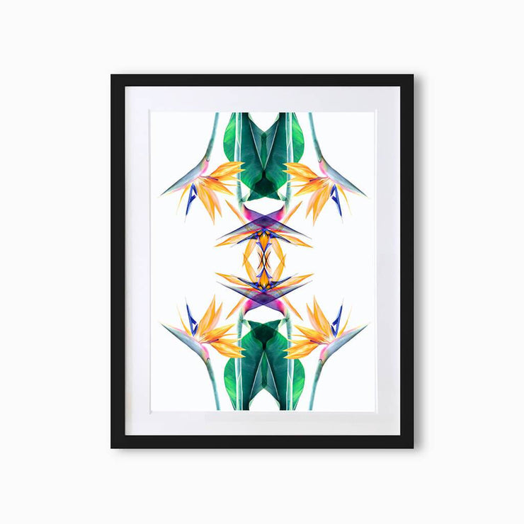 Bird of Paradise Botanique (Pattern) Art Print - Lola Design Ltd