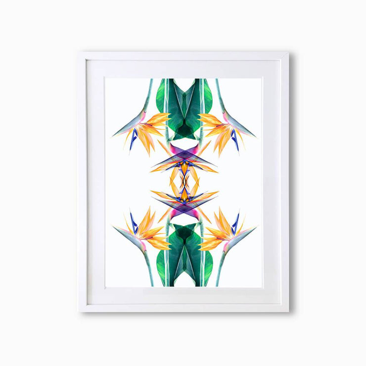 Bird of Paradise Botanique (Pattern) Art Print - Lola Design Ltd