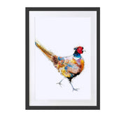 Pheasant Art Print - Lola Design Ltd