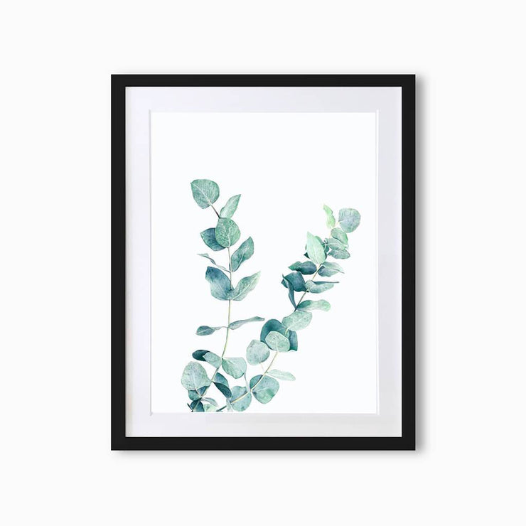 Eucalyptus Botanique (Single Flower) Art Print - Lola Design Ltd