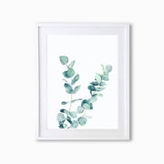 Eucalyptus Botanique (Single Flower) Art Print - Lola Design Ltd