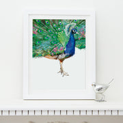 Peacock Art Print - Lola Design Ltd