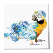 Parrot Card - Lola Design Ltd