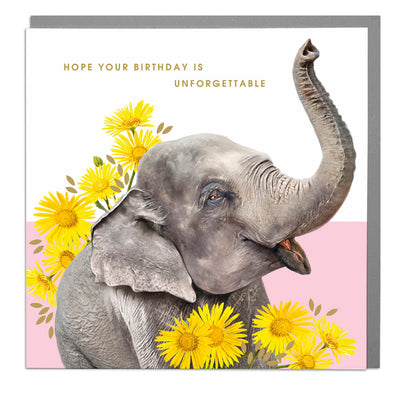Unforgettable Elephant Birthday Card - Lola Design Ltd