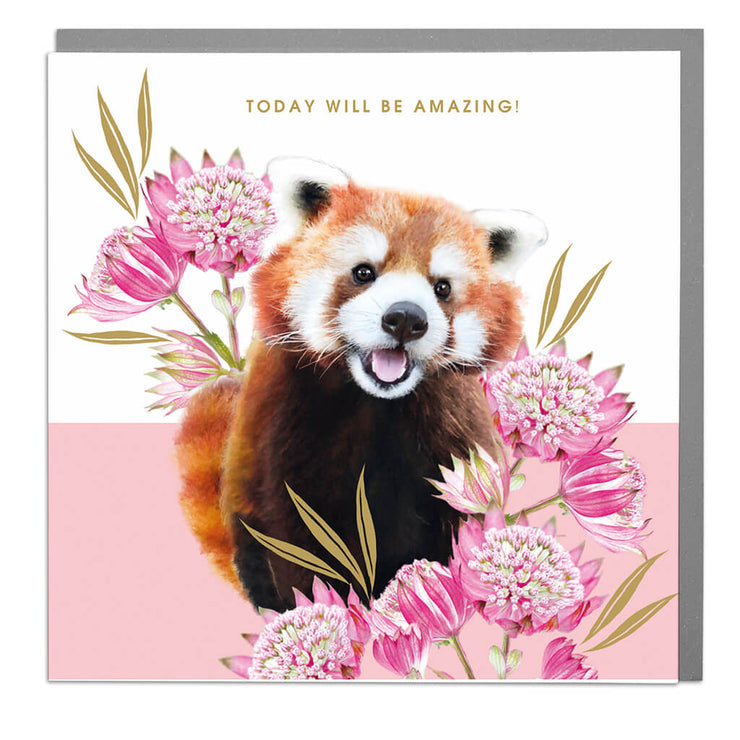 Red Panda Amazing Day Card - Lola Design Ltd