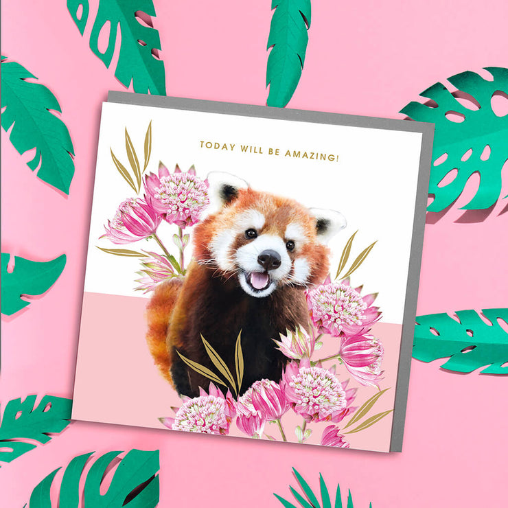 Red Panda Amazing Day Card - Lola Design Ltd