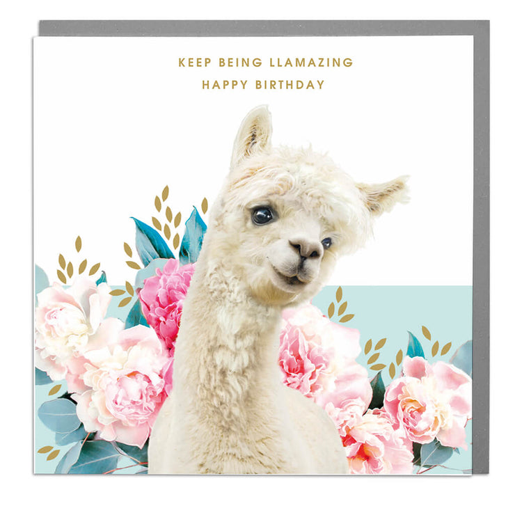 Llama Birthday Card - Lola Design Ltd