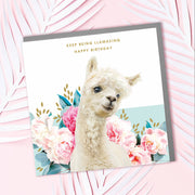 Llama Birthday Card - Lola Design Ltd