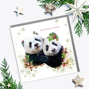 Panda Christmas Wishes Card - Lola Design Ltd