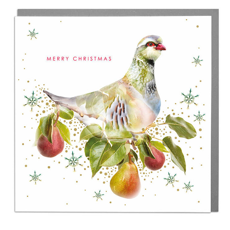 Partridge Merry Christmas Card - Lola Design Ltd