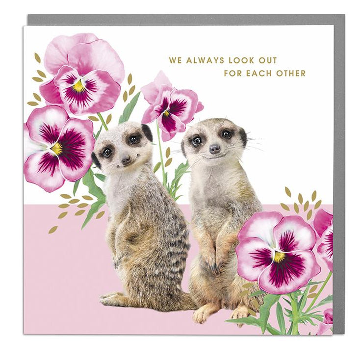 Meercats We Look Out For Each Other Card - Lola Design Ltd