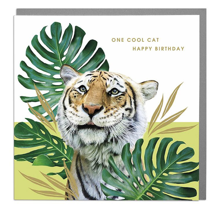 Tiger One Cool Cat Birthday Card - Lola Design Ltd