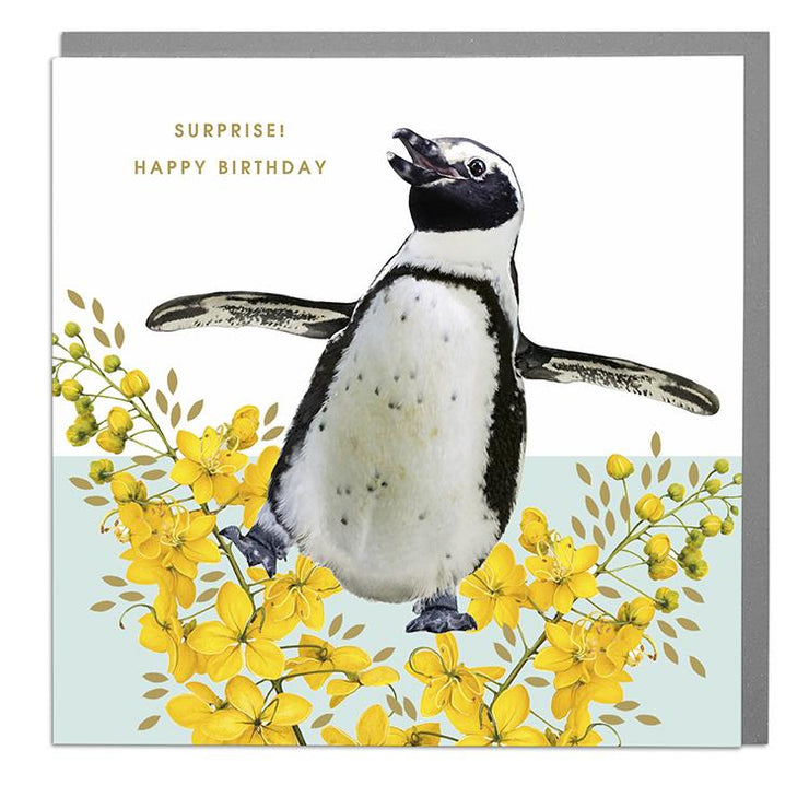 Penguin Surprise Birthday Card - Lola Design Ltd