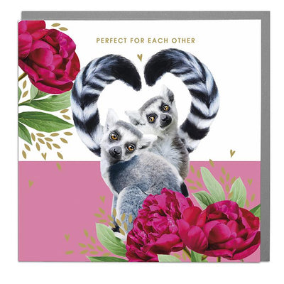 Lemurs Perfect For Each Other Happy Anniversary Card - Lola Design Ltd