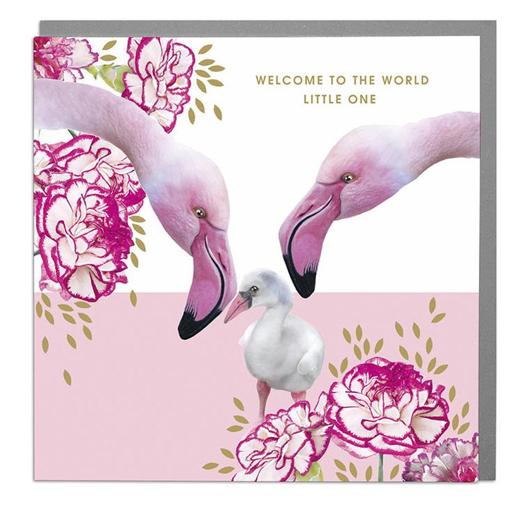 Flamingos New Baby Card - Lola Design Ltd