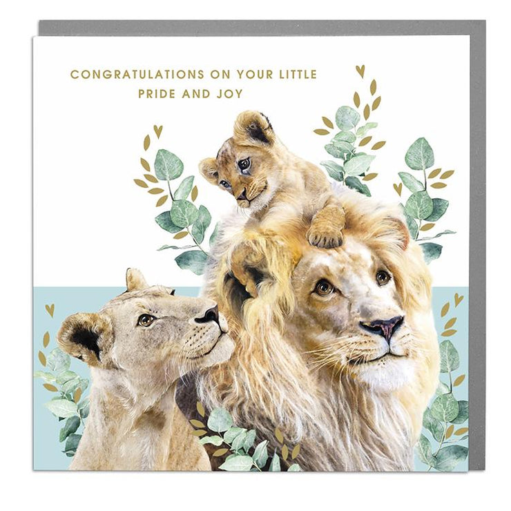 Lion New Baby Boy Card - Lola Design Ltd