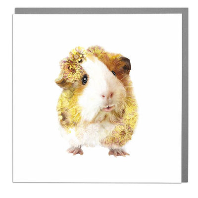 Guinea Pig Card - Lola Design Ltd