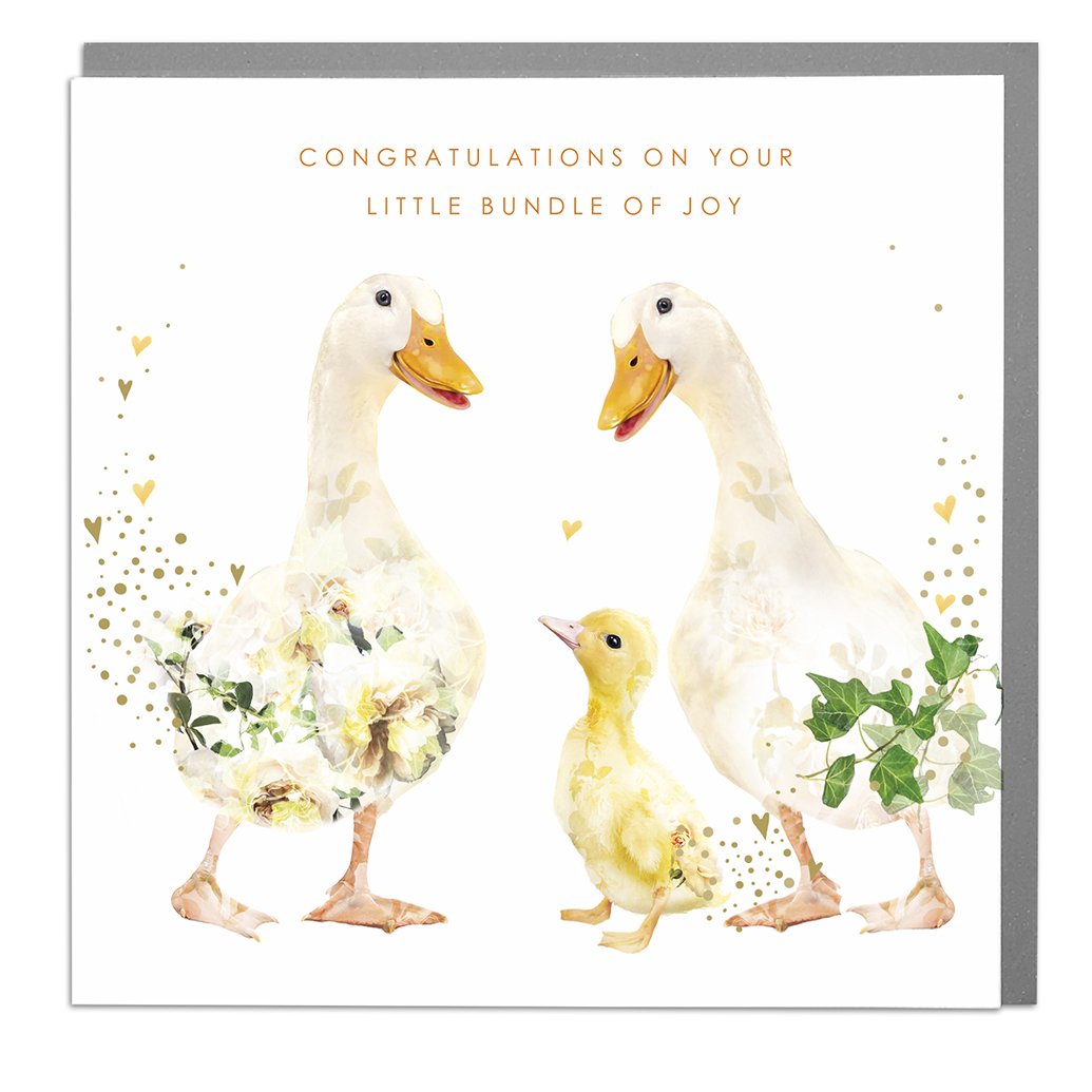 Ducks Congratulations On Your Little Bundle New Baby Card by Lola Design |  Lola Design Ltd, image size:1035x1035