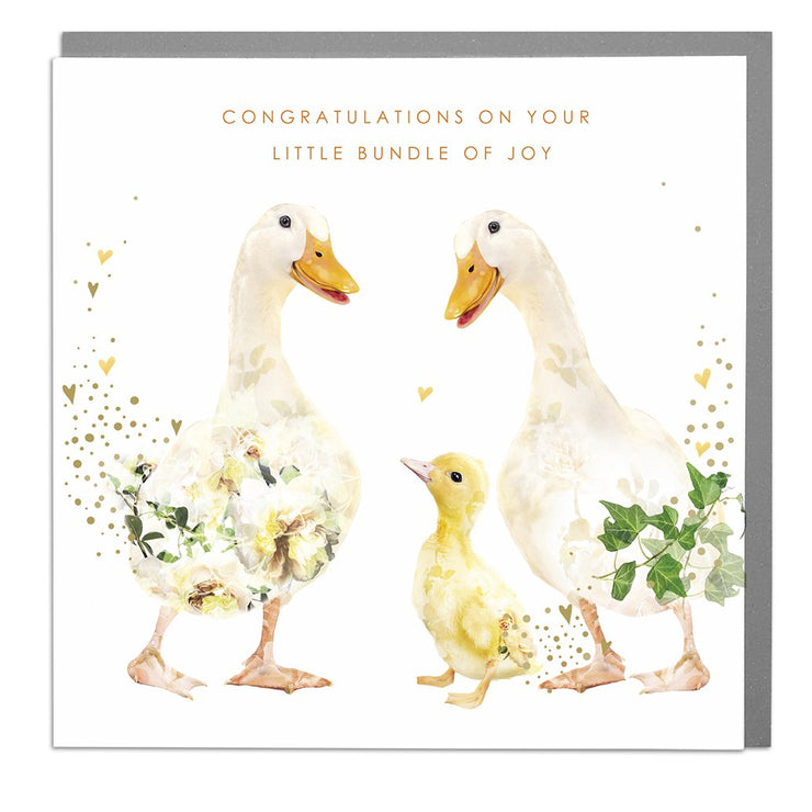 Ducks Congratulations On Your Little Bundle New Baby Card - Lola Design Ltd