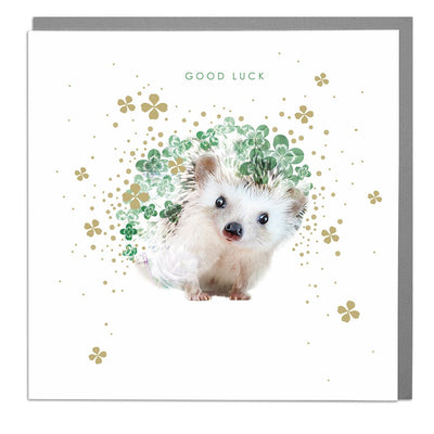 Hedgehog Good Luck Card - Lola Design Ltd